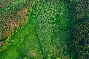 Images Dated 24th May 2019: Aerial View Green Forest Woods Landscape In Sunny Spring Evening