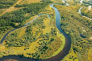 Aerial View Green Forest Woods And River Landscape In Sunny Spring Summer Day. Top View Of Beautiful European Nature From High Attitude In Autumn