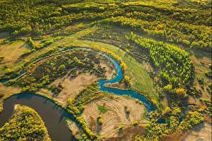 Aerial View Green Forest Woods And River Landscape In Sunny Spring Summer Day. Top View Of Beautiful European Nature From High Attitude In Autumn