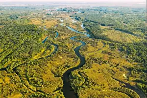 Aerial View Green Forest Woods And River Landscape In Sunny Summer Day. Top View Of Beautiful European Nature From High Attitude In Summer Season. Dro