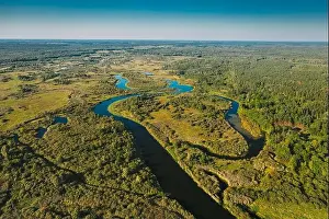 Aerial View Green Forest Woods And River Landscape In Sunny Summer Day. Top View Of Beautiful European Nature From High Attitude In Summer Season. Dro