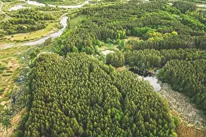 Aerial View Green Forest Woods And River Marsh In Summer Landscape. Top View Of Beautiful European Nature From High Attitude In Summer Season. Drone