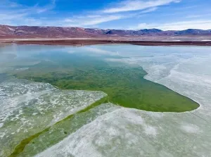 Off Road Prints: Aerial view of the green and partly frozen Laguna del Negro Francisco in the Atacama desert in Chile - Traveling
