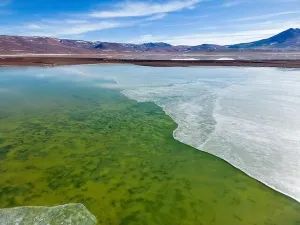 Off Road Prints: Aerial view of the green and partly frozen Laguna del Negro Francisco in the Atacama desert in Chile - Traveling