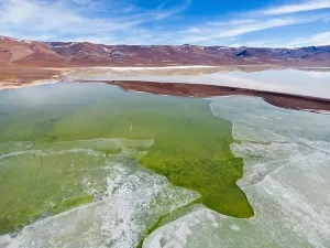 Off Road Prints: Aerial view of the green and partly frozen Laguna del Negro Francisco in the Atacama desert in Chile - Traveling