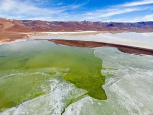 Off Road Prints: Aerial view of the green and partly frozen Laguna del Negro Francisco in the Atacama desert in Chile - Traveling