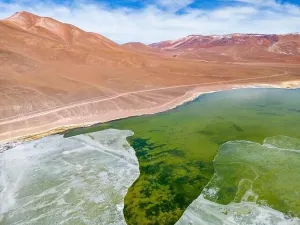 Off Road Prints: Aerial view of the green and partly frozen Laguna del Negro Francisco in the Atacama desert in Chile - Traveling