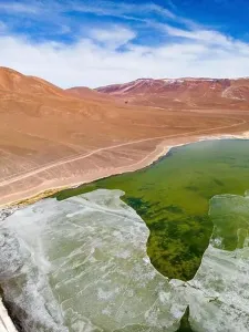 Off Road Prints: Aerial view of the green and partly frozen Laguna del Negro Francisco in the Atacama desert in Chile - Traveling