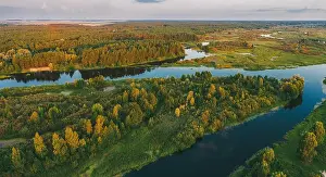 Aerial View Green Pine Forest And River Landscape In Sunny Summer Evening. Top View Of Beautiful European Nature From High Attitude In Summer Season