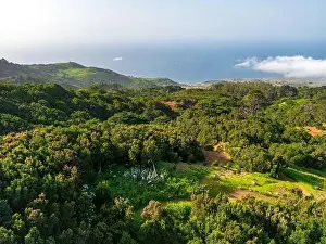 Villa De Valverde Prints: Aerial View at Green Volcanic Hills near Villa de Valverde at El Hierro Island