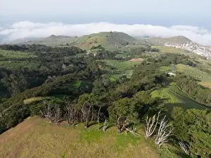Villa De Valverde Prints: Aerial View at Green Volcanic Hills near Villa de Valverde at El Hierro Island