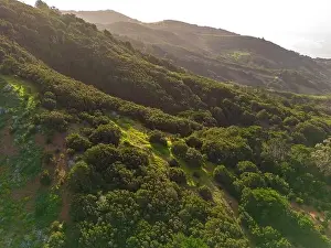 Villa De Valverde Prints: Aerial View at Green Volcanic Hills near Villa de Valverde at El Hierro Island