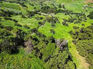 Villa De Valverde Prints: Aerial View at Green Volcanic Hills near Villa de Valverde at El Hierro Island