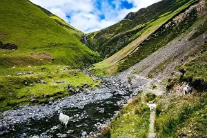 Mares Prints: Aerial view of The Grey Mare's Tail, a waterfall near Moffat, Scotland