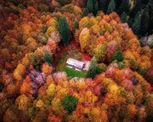 Clearing Prints: Aerial view of a house in a clearing inside the Cansiglio forest (veneto)