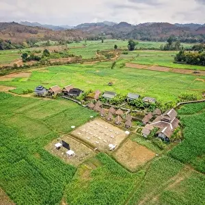 Country Food Prints: Aerial view of Houses in the middle of rice fields in Nan province, Thailand