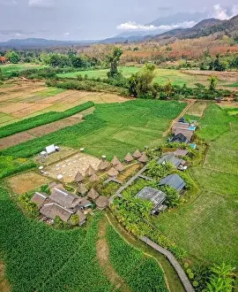 Country Food Prints: Aerial view of Houses in the middle of rice fields in Nan province, Thailand