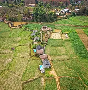 Aerial view of Houses in the middle of rice fields in Nan province, Thailand