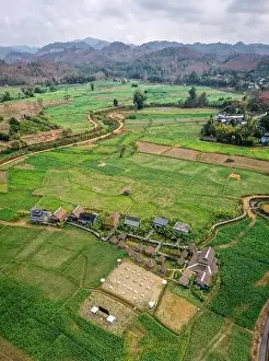 Country Food Prints: Aerial view of Houses in the middle of rice fields in Nan province, Thailand
