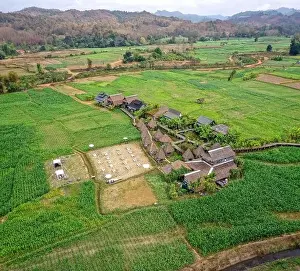 Country Food Prints: Aerial view of Houses in the middle of rice fields in Nan province, Thailand