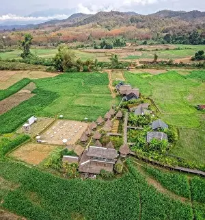 Country Food Prints: Aerial view of Houses in the middle of rice fields in Nan province, Thailand