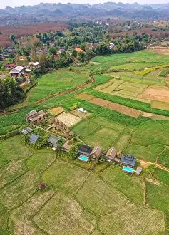 Country Food Prints: Aerial view of Houses in the middle of rice fields in Nan province, Thailand