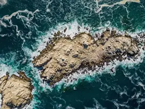 Greenish Prints: Aerial view of Isla Pan de Azúcar in the National Park Pan de Azúcar at the coast of the Atacama desert in Chile