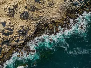 Greenish Prints: Aerial view of Isla Pan de Azúcar in the National Park Pan de Azúcar at the coast of the Atacama desert in Chile