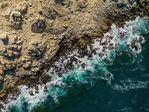 Greenish Prints: Aerial view of Isla Pan de Azúcar in the National Park Pan de Azúcar at the coast of the Atacama desert in Chile