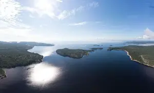 Aerial top view to island Kilpola overgrown with sparse trees in summer sunny day