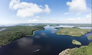 Pine Wood Prints: Aerial top view to island Kilpola overgrown with sparse trees in summer sunny day