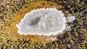 Lithuania Prints: Aerial view of the lake in Lithuanian forests
