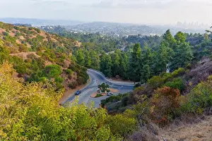 Networks Prints: Aerial view landscape of Griffith Park featuring winding roads