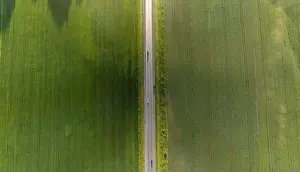 Green Road Prints: Aerial top view of a landscape while traveling by car on an asphalt highway in the middle of a green agricultural field