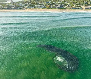 Open Water Prints: an aerial view of a large school of bunker fish off the coast of montauk, ny