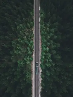 Motion Blur Prints: Aerial view of the locomotive traveling on the railway through the forest in autumn