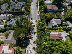 Lined Prints: Aerial View of Los Angeles Residential Neighborhood with Palm Trees