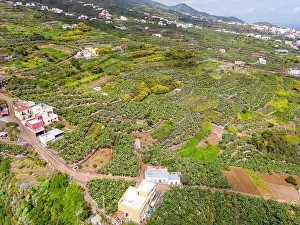 Palma Prints: Aerial view of Los Tilos bridge near Los Sauces at La Palma Island, Canary Islands, Spain