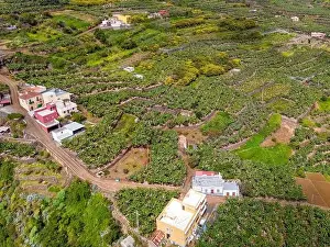 Palma Prints: Aerial view of Los Tilos bridge near Los Sauces at La Palma Island, Canary Islands, Spain