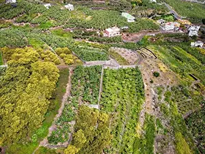 Palma Prints: Aerial view of Los Tilos bridge near Los Sauces at La Palma Island, Canary Islands, Spain