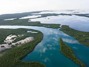 An aerial view of mangroves and the calm lagoon inside Turneffe Atoll off the coast of Belize. This area of the Caribbean is extremely biodiverse