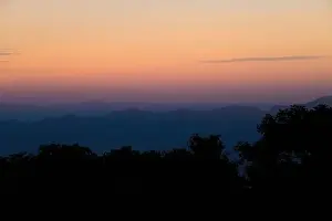 Aerial view of misty tropical forest with warm glow of sunrise in the morning