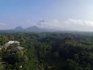 Jogja Prints: Aerial view of Mount Merapi Landscape with rice field and village in Yogyakarta