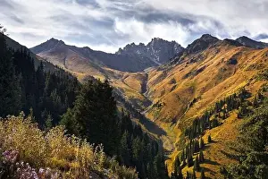 Aerial view of the mountain valley with lush forest and rocky peaks in Kazakhstan