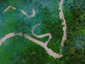 Aerial view of narrow road going through green trees growing in forest located at Amazonas rural area