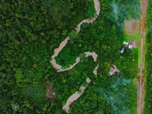 Amazonas Prints: Aerial view of narrow road going through green trees growing in forest near residential houses located at Amazonas