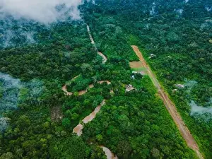 Amazonas Prints: Aerial view of narrow road going through green trees growing in forest near residential houses located at Amazonas