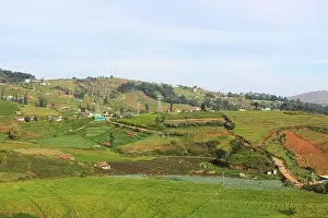 Grass And Sky Prints: Aerial View of Ooty Hills, Tamilnadu, India