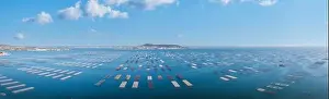 Oyster Prints: Aerial view of the oyster tables on the Etang de Thau in Occitanie, France