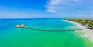 Aerial view of palms on the sandy beach of Indian Ocean at sunny day